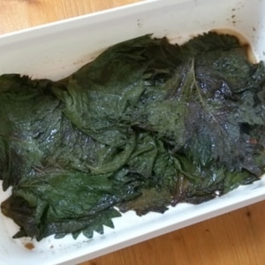 簡単 激ウマ 大葉のごま油しょうゆ漬け レシピ 作り方 By Sumippy 楽天レシピ 簡単 激ウマ 大葉のごま油しょうゆ漬け レシピ 作り方 By Sumippy 楽天レシピ